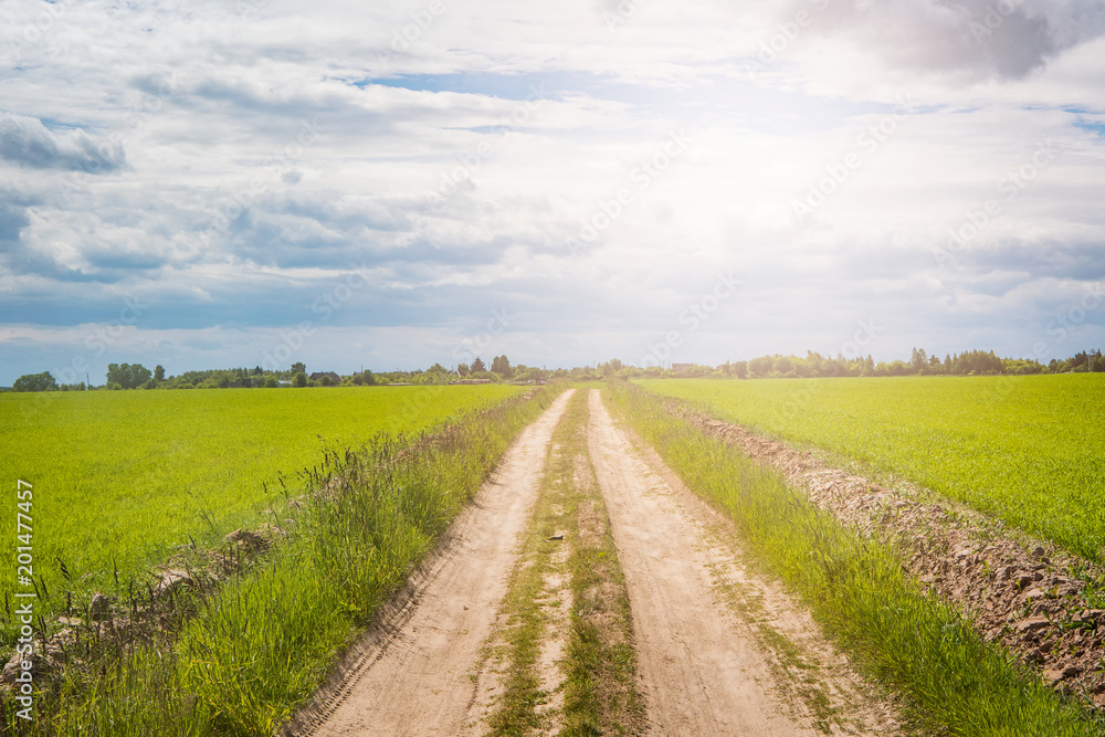 Road passing through the field on a sunny day Road passing through the field on a sunny day
