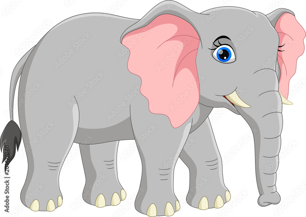 Vector illustration of cute elephant cartoon isolated on white background