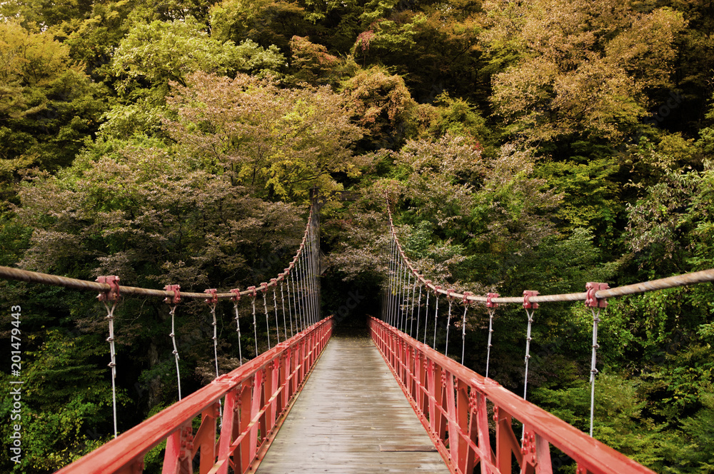 Red bridge, Kami No Iwahashi in Dakigaeri Valley - Senboku, Akita, Japan Red bridge, Kami No Iwahashi in Dakigaeri Valley - Senboku, Akita, Japan