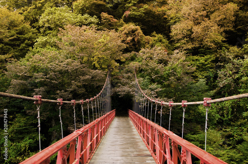 Fototapeta Naklejka Na Ścianę i Meble -  Red bridge, Kami No Iwahashi in Dakigaeri Valley - Senboku, Akita, Japan
