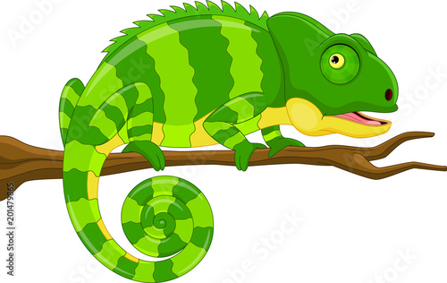 Vector illustration of cartoon green chameleon isolated on white background