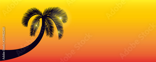 palme abend hintergrund