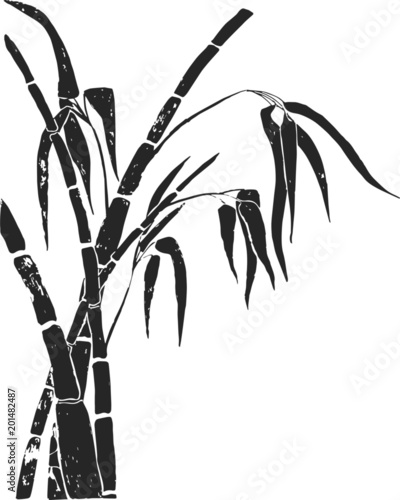 Naklejka Bambusowy tło. Bambus wynika z liści na białym tle, wyciągnąć rękę. Ilustracji wektorowych.
