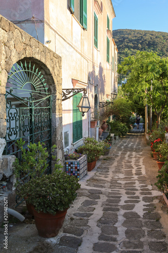Fototapeta Naklejka Na Ścianę i Meble -  The view of the street, island Ischia, Italy.