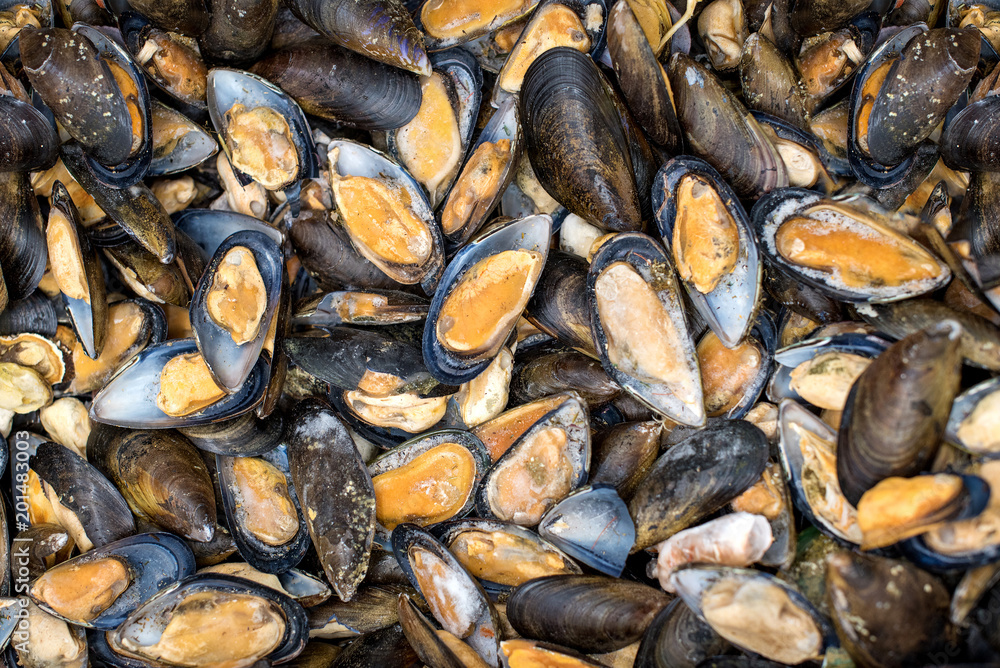 Fresh mussels in the fish market or shop or supermarket. Brown orange mussels abstract background and texture. Seafood on ice. Fresh mussels in the fish market or shop or supermarket. Brown orange mussels abstract background and texture. Seafood on ice.