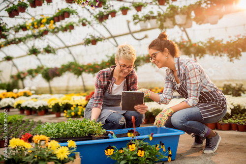 Two hardworking modern florist women crouching and selecting flowers while looking instructions from a tablet.
