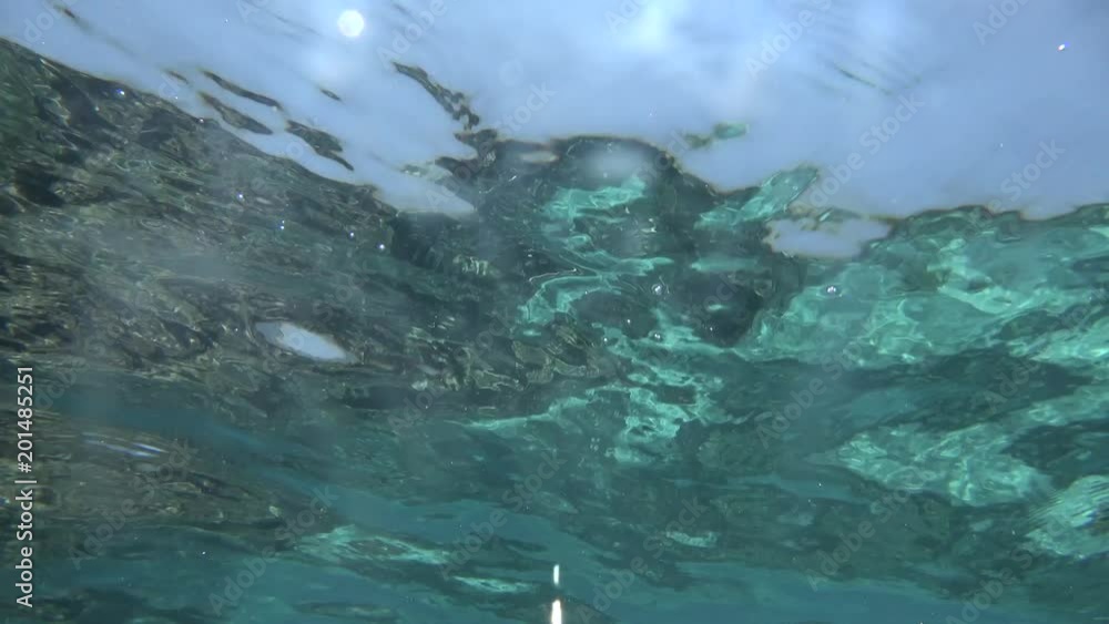 Under the water, the Indian Ocean. Maldives video. Under the water, the Indian Ocean. Maldives video.