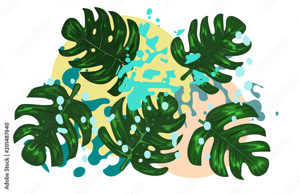 5 Monstera Tropical Leaves Splash Design 5 Monstera Tropical Leaves Splash Design