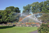 Botanical garden looking like a paradise with the water painting a rainbow in the sunlight.