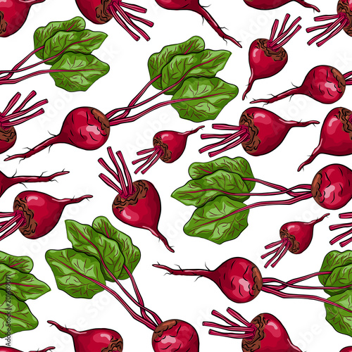 Beetroot vector seamless pattern on a white background for packing, wrapping, labels and backdrop. Vegetables texture.