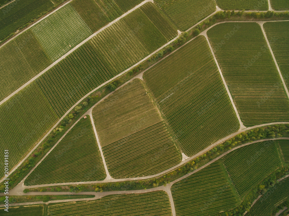 bird eye view of green agricultural fields, europe
