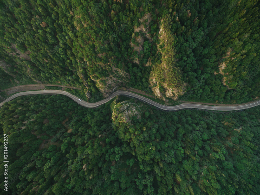 aerial view of road in tranquil mountain forest