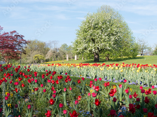 fruehling