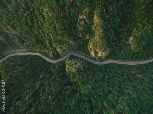 aerial view of road in tranquil mountain forest