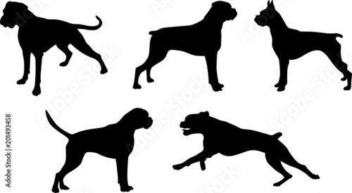 Boxer - Silhouetten