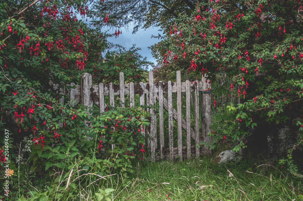Achill Island Rural Gate