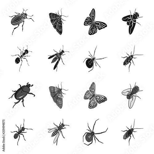 An insect arthropod, an osa, a spider, a cockroach. Insects set collection icons in black,monochrome style vector symbol stock isometric illustration web.