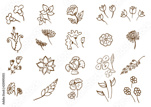 Fototapeta Naklejka Na Ścianę i Meble -  Hand sketched vector vintage elements.Wild and free. Perfect for invitations, greeting cards, quotes, blogs, Wedding Frames, posters.silhouette of elements