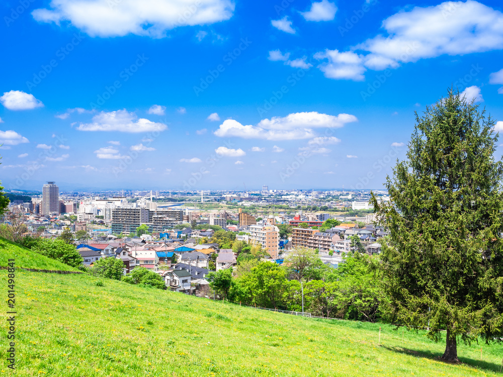 新緑の丘と住宅街