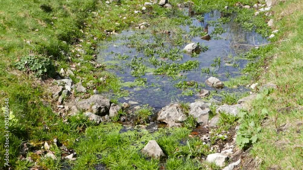 A small stream of water flowing through the rocks. A small stream of water flowing through the rocks.