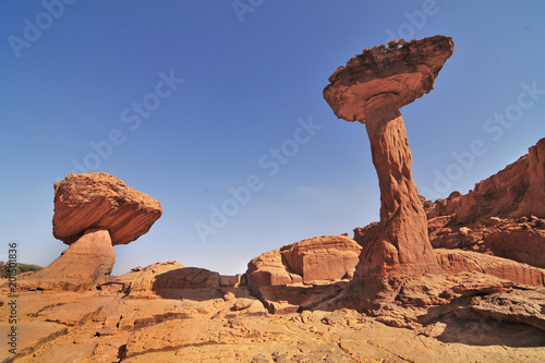 Chad Southern Sahara desert Ennedi massif needles and sandstone mushrooms of Sicandre
 photo