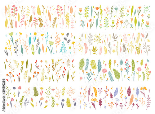 Vector floral set.