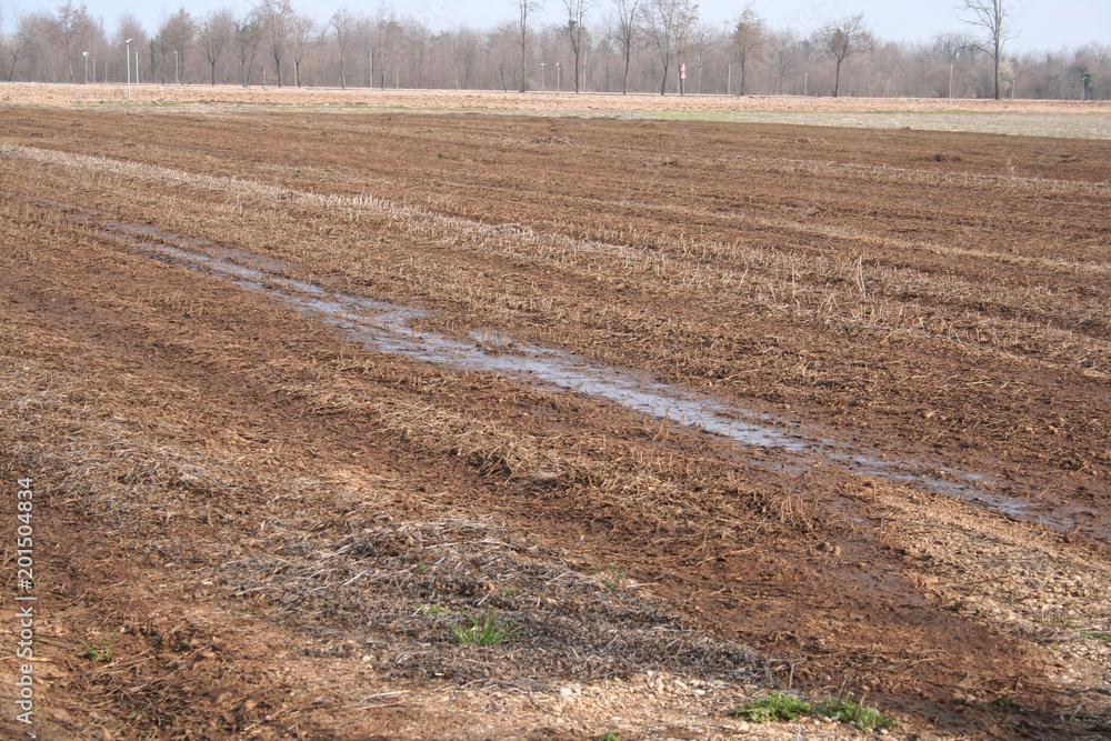 Natural manure on agricultural field. Rural landscape in springtime Natural manure on agricultural field. Rural landscape in springtime