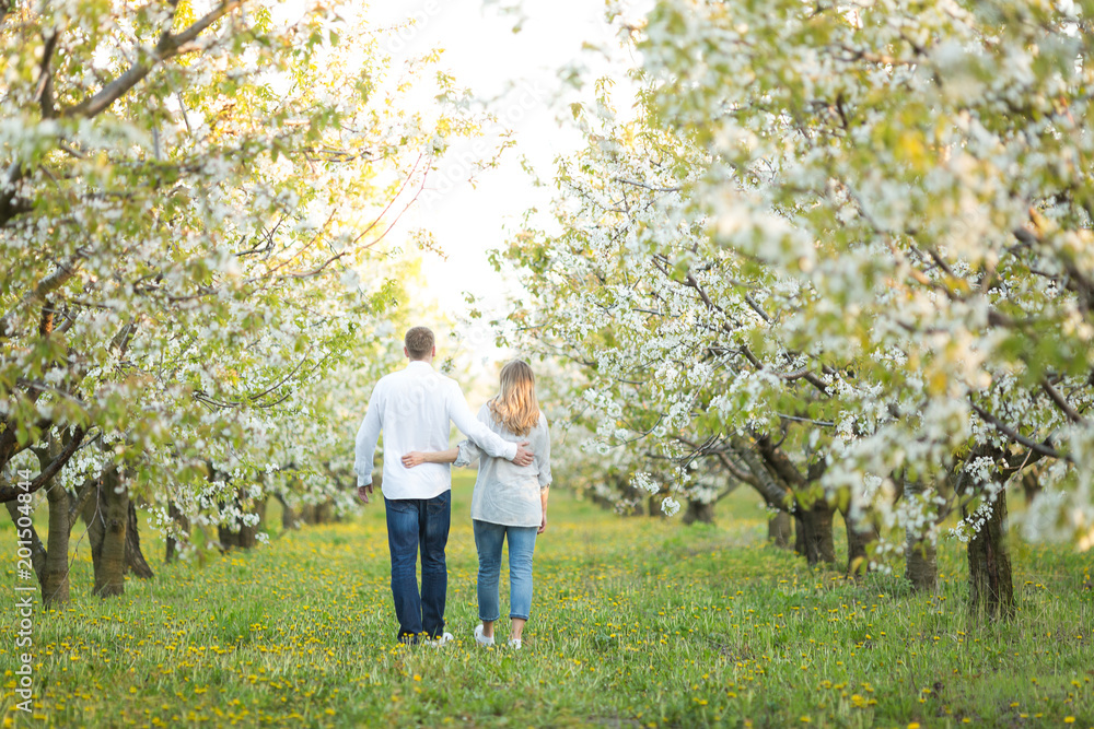 relationships, love, nature concept. there is a newly married couple that is walking through the garden of apple trees in bloom, they are hugging and enjoying the scenery relationships, love, nature concept. there is a newly married couple that is walking through the garden of apple trees in bloom, they are hugging and enjoying the scenery