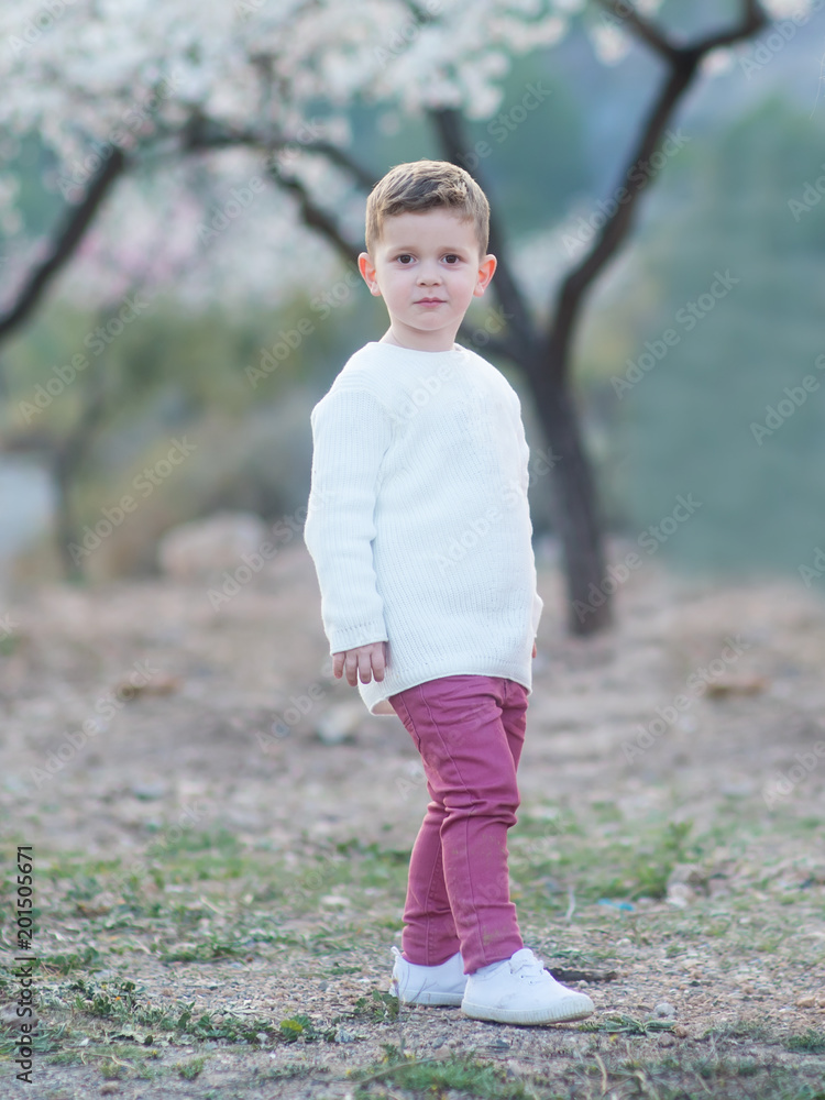 Beautiful little boy in blooming almonds Beautiful little boy in blooming almonds