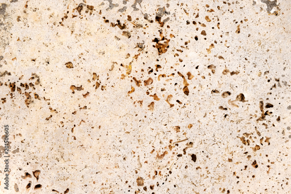 Light shell lime natural stone background Light shell lime natural stone background