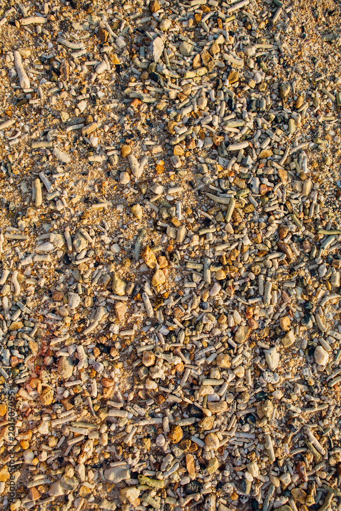 Sea shell and stone pieces texture Sea shell and stone pieces texture