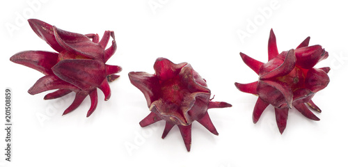organic red roselle hibiscus, fruit flower isolate on white background.