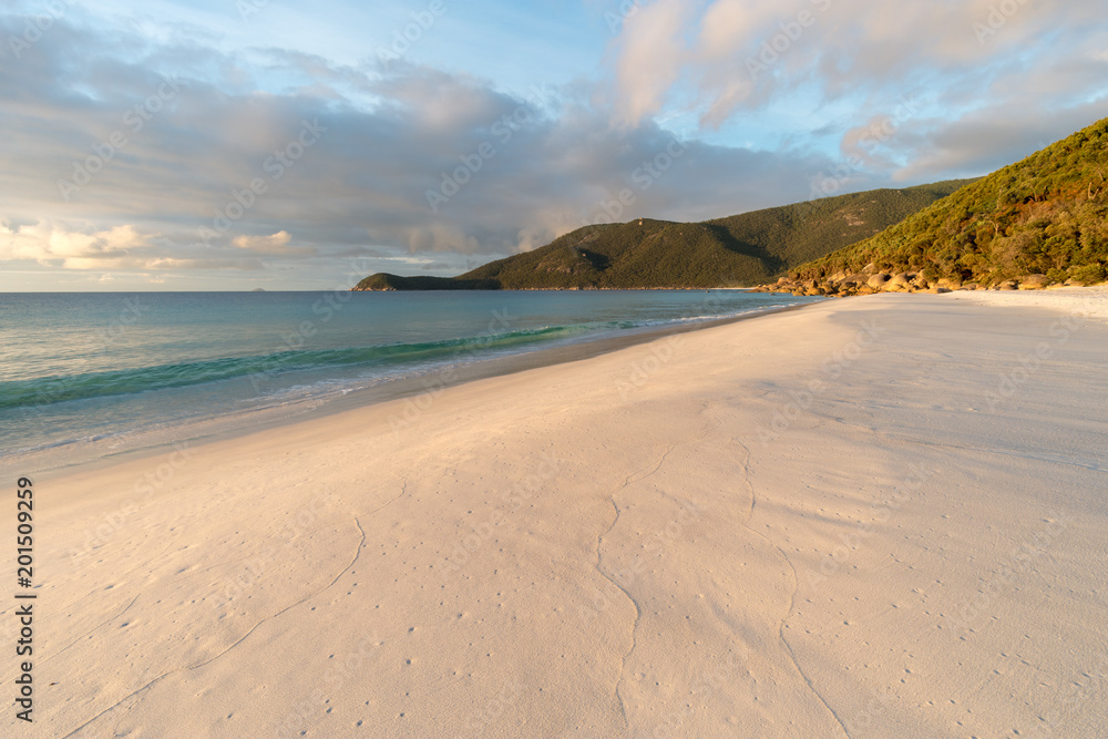 White sand beach in the Wilsons Promontory