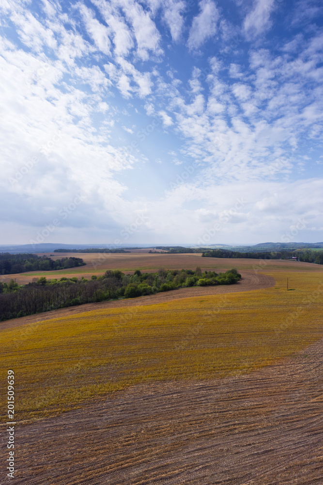 Fototapeta premium Spring landscape with field, forest and sky