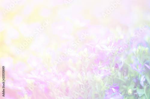 Beautiful abstract sweet color of floral with pink flower buds, pastel color style for background.