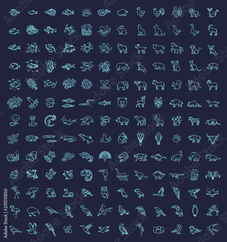 Line animals consepts, Icons set