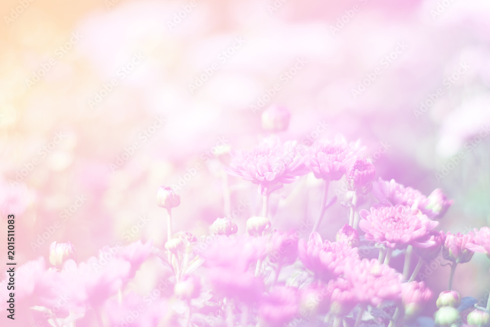 Beautiful abstract sweet color of floral with pink flower buds,  pastel color style for background.