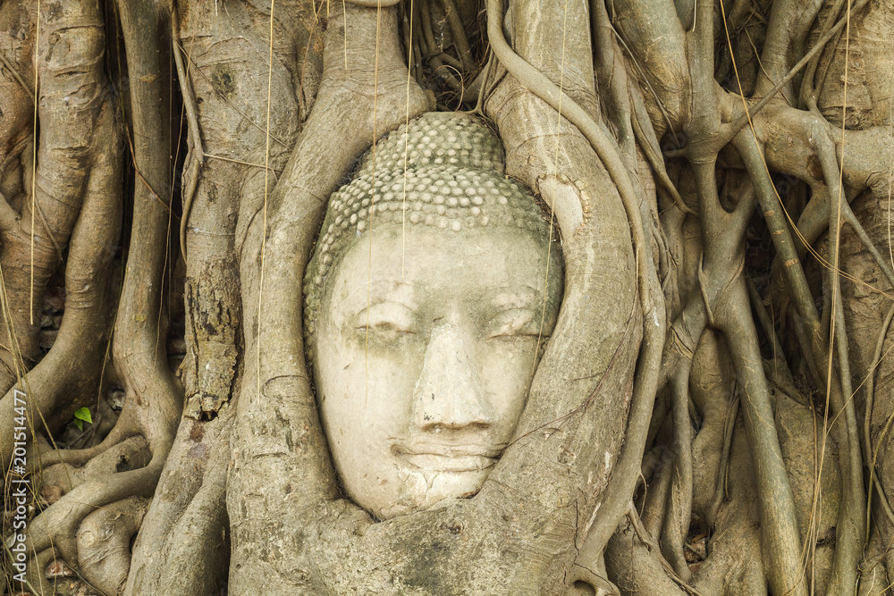 Old sandstone Buddha head in tree roots at Wat Mahathat, Ayutthaya, Thailand