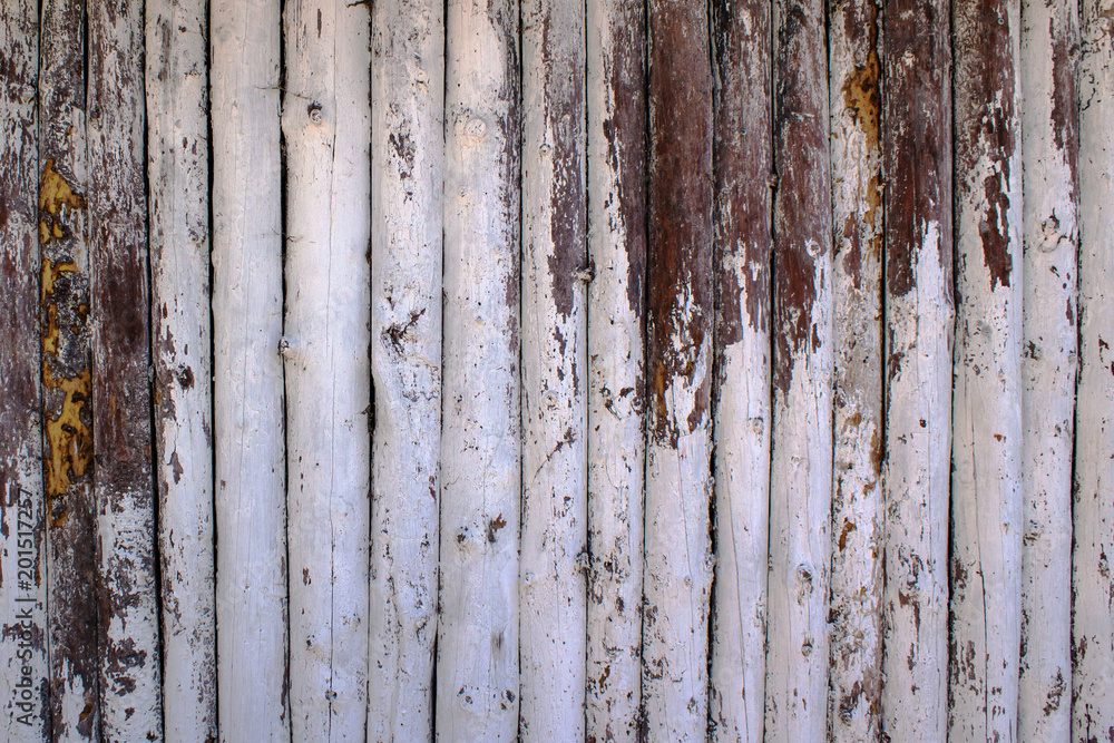 Fototapeta premium A fence made of logs white