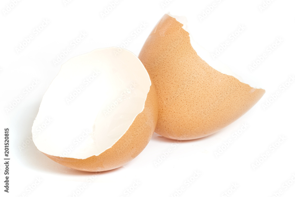 Shell eggs broken in two pieces Shell eggs broken in two pieces