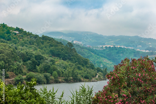 Terraced vineyards in Douro Valley Alto Douro Wine Region in northern Portugal officially designated by UNESCO as World Heritage Site