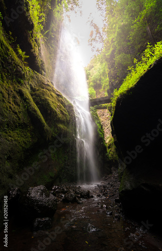 Waterfall on the island of la palma - Los Tilos forest // Cascada de Los Tilos - La Palma (Canarias) photo