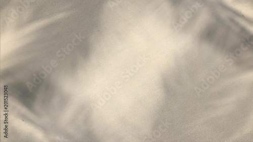 Tropical background of the shadows of palm tree fronds waving in the wind against a soft sand background 