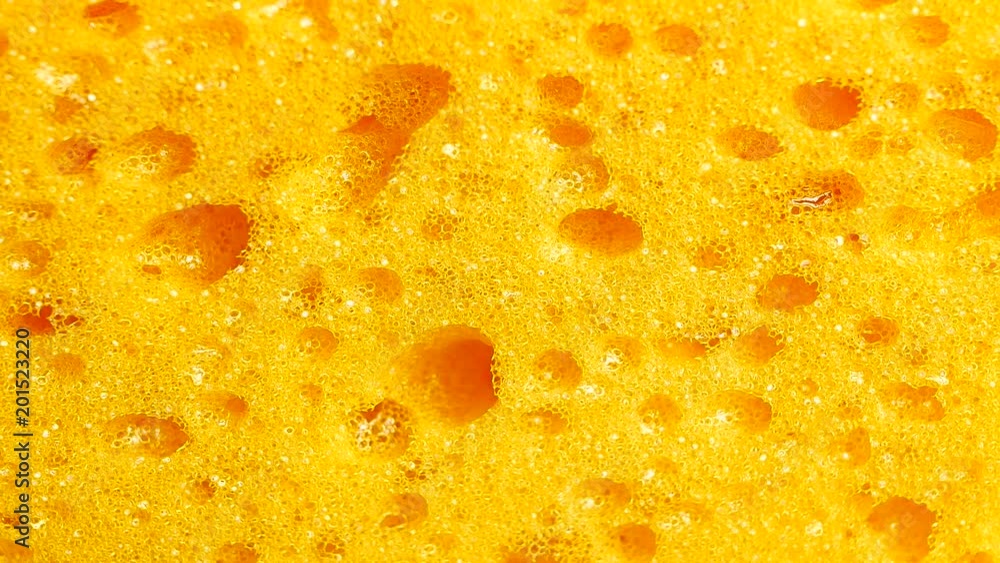 Sponge texture closeup background Sponge texture closeup background