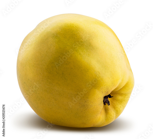 Fresh yellow quince isolated on white background. Clipping path