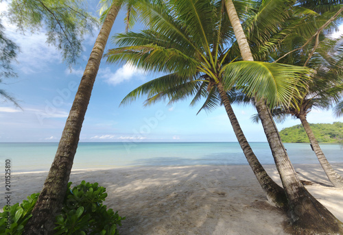 Beautiful Beach oceanfront tropical sea and coconut palm at  Koh Kood Trad © spritekiku
