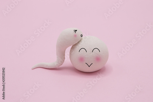 Handmade Polymer Clay Figure of Human Sperm Impregnate a Fertile Human Egg photo