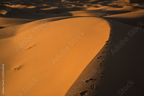 Sahara Desert in Morocco photo