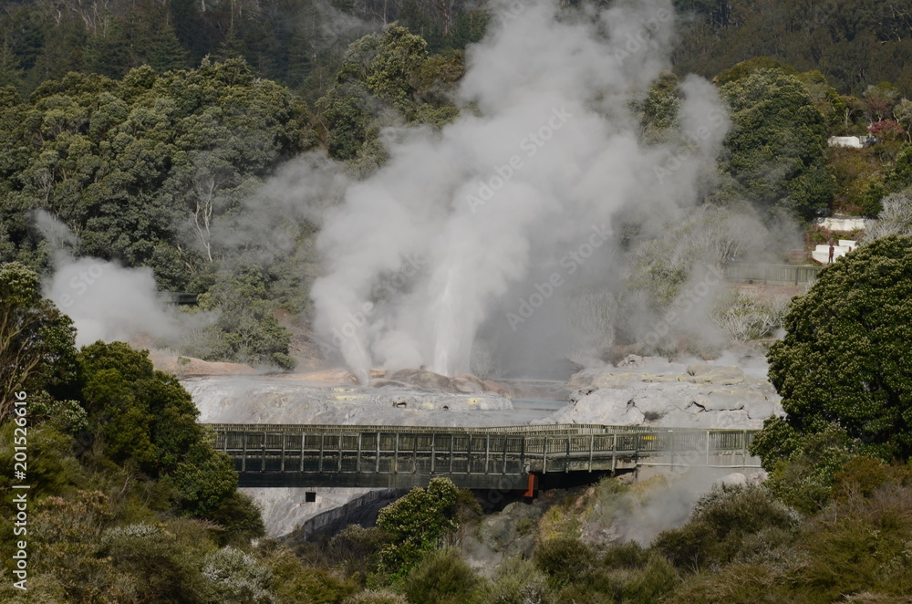 Fototapeta premium Pohutu Geyser in Te Puia Thermal Reserve, Rotorua, New Zealand