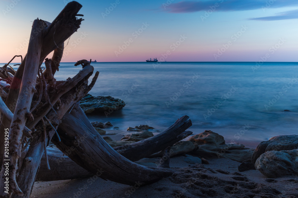 beach view at sunrise with old tree and rocks long exposure
